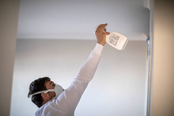 Best Residential Mold Remediation in Catalina Foothills, AZ